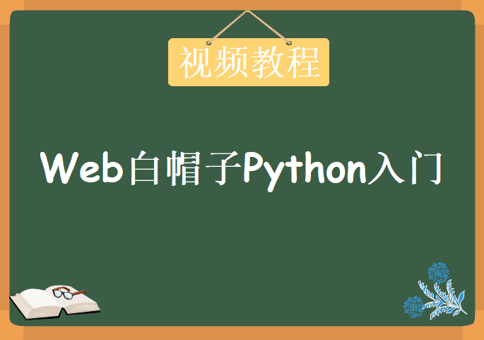 Web白帽子Python入门，视频教程下载