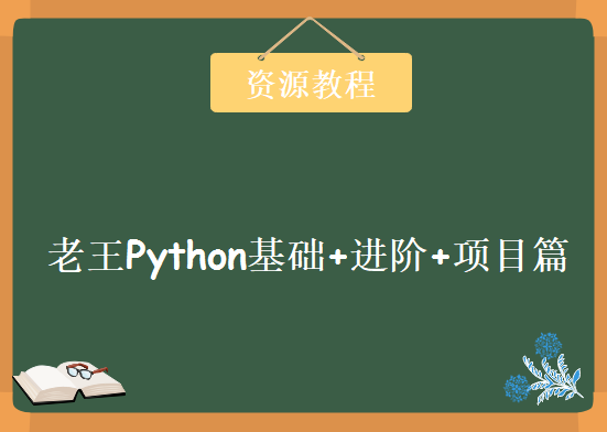 老王Python基础+进阶+项目篇，资源教程下载