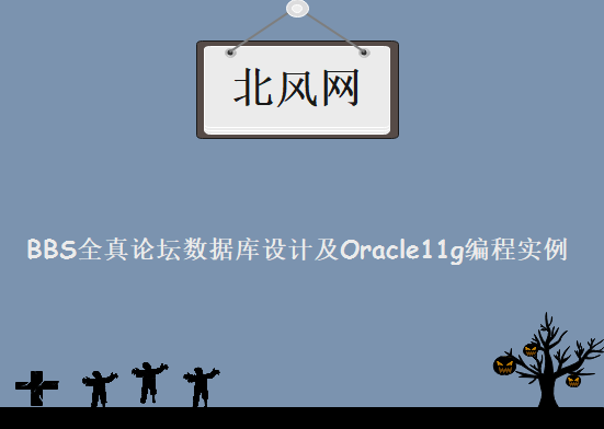 北风网《BBS全真论坛数据库设计及Oracle11g编程实例》5讲，资源教程下载