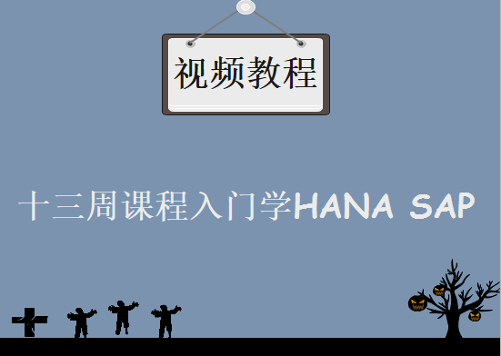 SAP纯HANA初入门学习，十三周课程入门学HANA SAP视频教程下载