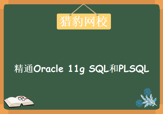 猎豹网校Oraclle数据库视频教程下载，精通Oracle 11g SQL和PLSQL培训视频全套