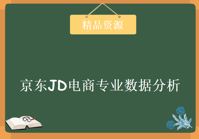 京东JD电商专业数据分析 供应链 物流教程下载