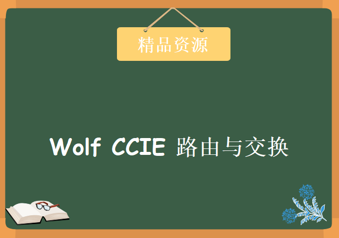 Wolf CCIE 路由与交换 专题视频精讲IPV6，资源教程下载