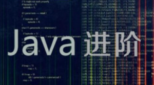 Java进阶训练营，资源教程下载