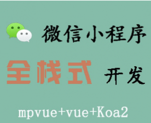 微信小程序实战开发课程【真律】实际上线项目mpvue+koa2（附源码）