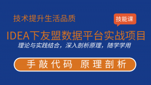 徐培成大数据分析案例：6天IDEA下友盟数据平台实战项目，资源教程下载