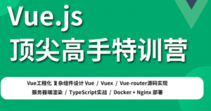 Vue.js顶尖高手特训营，资源教程下载