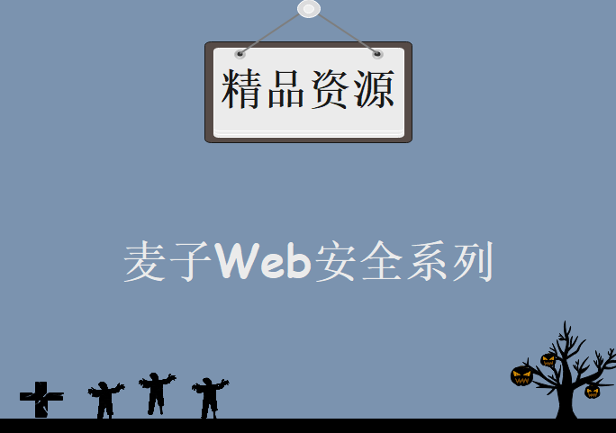 麦子Web安全系列全套课程，资源教程下载