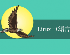 Linux系统C语言编程基础，资源教程下载