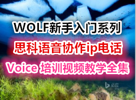 WOLF新手入门系列思科语音协作ip电话CCVP CCIE Voice 培训，资源教程下载