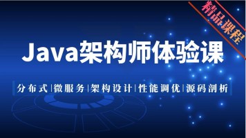 架构设计与优化 JAVA真正架构实战，资源教程下载