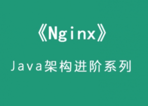 Java架构进阶—Nginx企业级（2021最新附带课件源码）