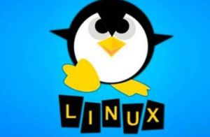 LNH-脱产班linux运维51期,资源教程下载