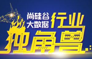 尚硅谷大数据线下班全套视频（2019年6月毕业班），资源教程下载