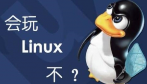 2019最新老男孩linux深圳脱产班1期，资源教程下载