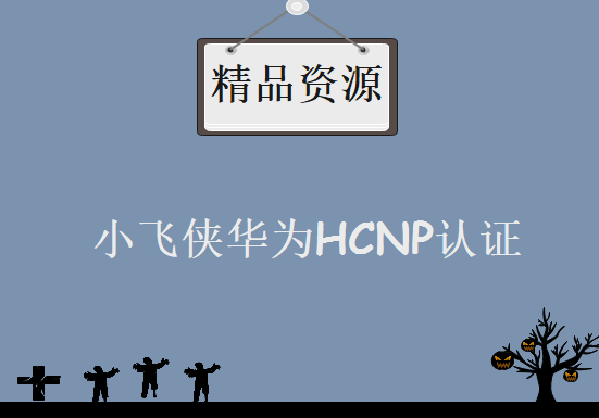 小飞侠华为HCNP认证 华为HCNP路由交换实战视频教程 小飞侠 OSPF+交换技术专题课程