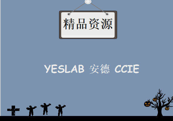 YESLAB 安德 CCIE视频课程 《MPLS技术架构》配套视频课程 Yeslab