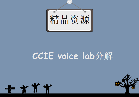 CCIE voice lab分解实验视频  超高清版CCIE语音视频教程下载